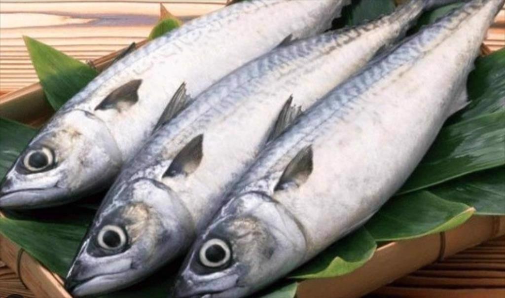 Xuất khẩu cá thu Hàn Quốc tăng vọt 